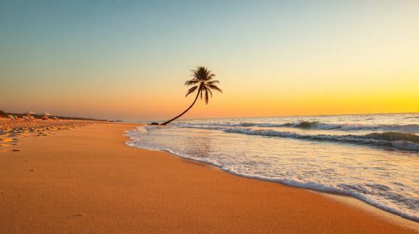 Top conseils pour un séjour inoubliable à l'étoile de mer